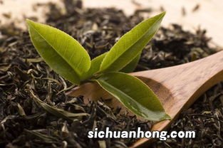 嚼绿茶茶叶有什么好处