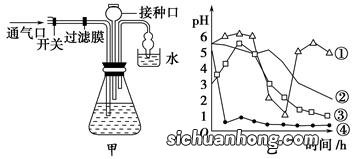 发酵与后发酵区别是什么意思是什么