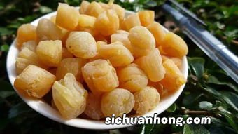 干贝长白毛了怎么办