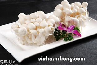 干贝长白毛了怎么办