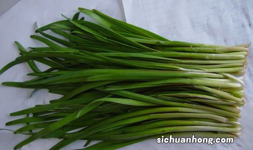 韭菜的壮阳指的是什么意思