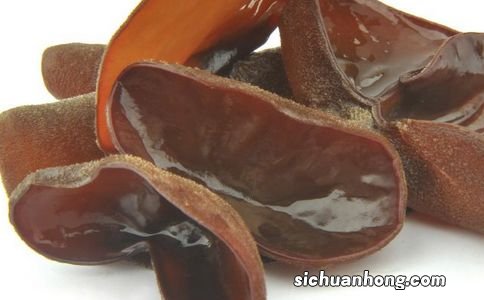 结石禁吃什么食物