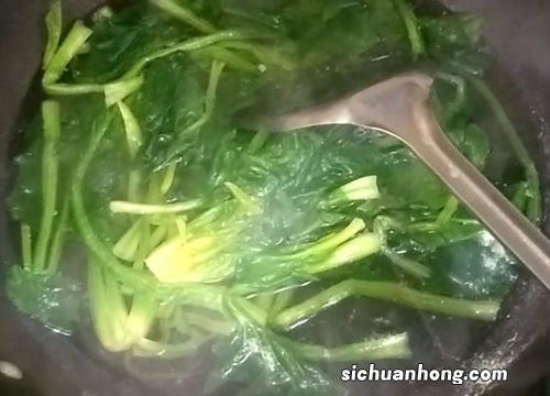 菠菜汁和烫面怎么做