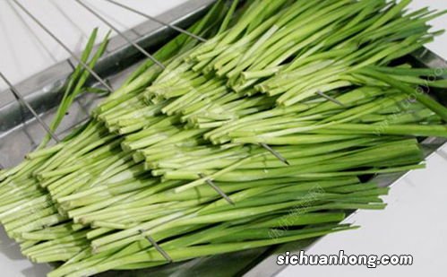 吃韭菜应该喝什么时候吃最好