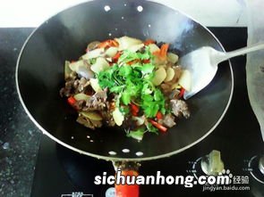 煮熟的狗肉怎么炒好吃