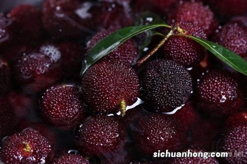 杨梅泡多久能吃吗