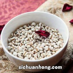 怎么煮薏仁