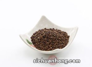 泡什么东西明目