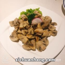 腌制的蘑菇怎么吃好吃吗