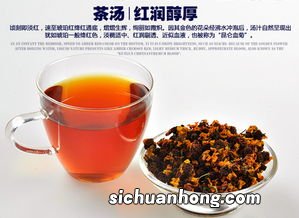 昆仑雪菊配什么代茶饮