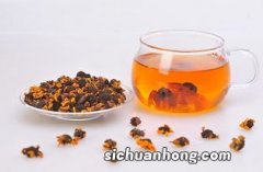 昆仑雪菊配什么代茶饮