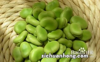 新鲜蚕豆怎么储存