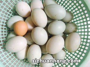 用什么泥腌鸭蛋
