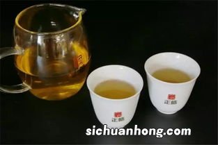 普洱茶为什么有茶梗