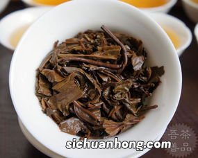 勐海茶山产什么茶