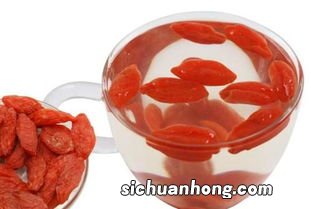 红枣泡酒能放多久