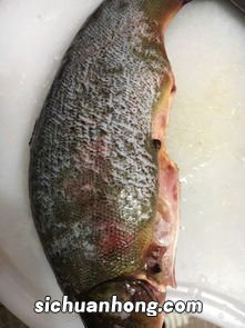 金桂鱼要蒸多久