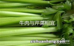 牛肉和什么相克相宜