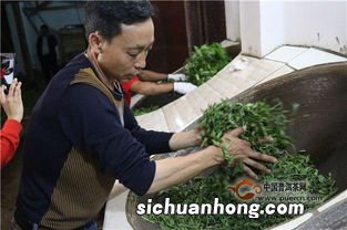 杀青是什么工艺