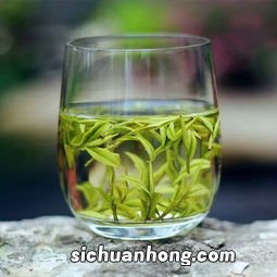 春天买什么茶叶送人好