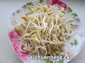 黄豆芽炖排骨怎么做好吃
