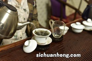 为什么喝新茶