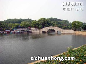 湖中的君山像什么