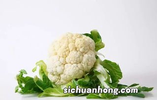 花菜怎么做最有营养