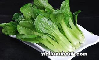 煮青菜多久