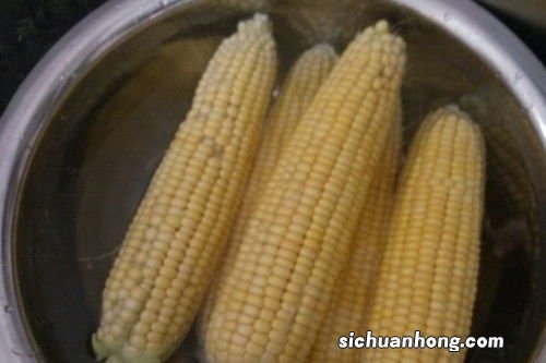 煮个玉米要多久才好