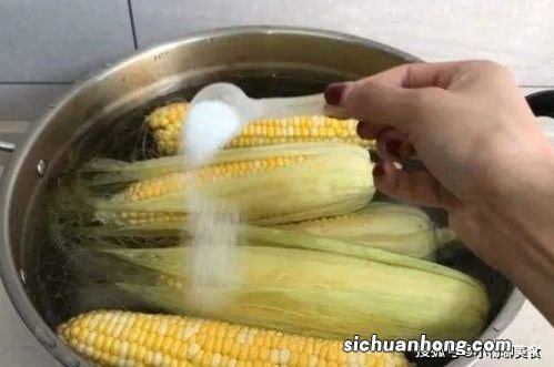 煮个玉米要多久才好