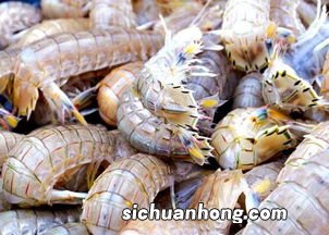 皮皮虾白灼要多久