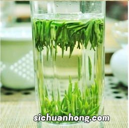 金坛雀舌什么时候下来