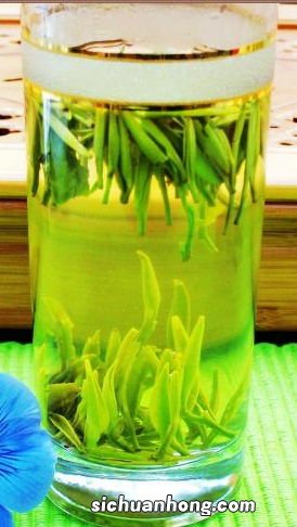 金坛雀舌什么时候下来