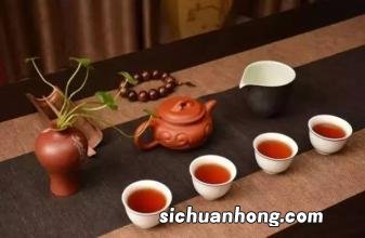 陶壶适合泡什么茶