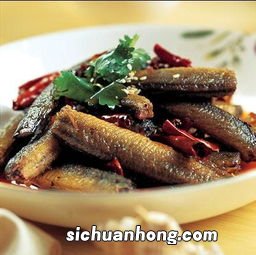 泥鳅用什么菜垫底