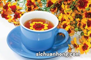 喝什么菊花茶可以明目