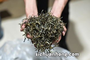 什么叫毛茶