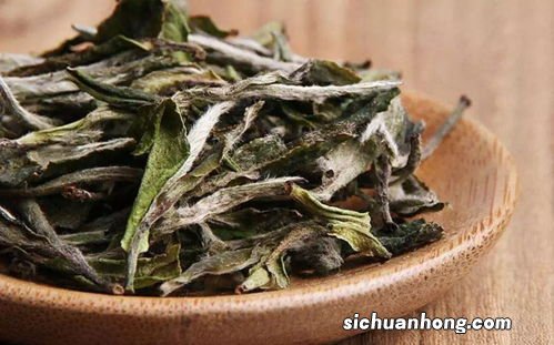 白茶干茶茸毛多呈什么颜色