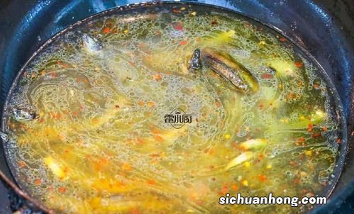 泥鳅配什么蔬菜一起吃吗