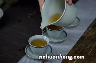 铁壶适合煮什么茶