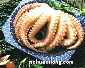 章鱼要炒多久才会熟