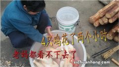 湖南腊鸡怎么制作