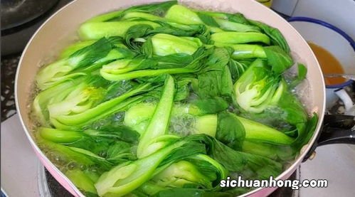 油菜焯水多久熟