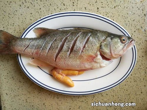 一斤半的鲈鱼蒸多久