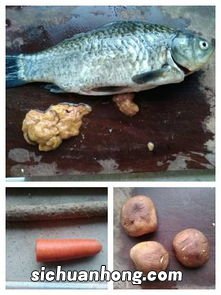 胡萝卜鲫鱼怎么做好吃