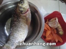 胡萝卜鲫鱼怎么做好吃