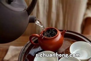 有胃病喝什么茶