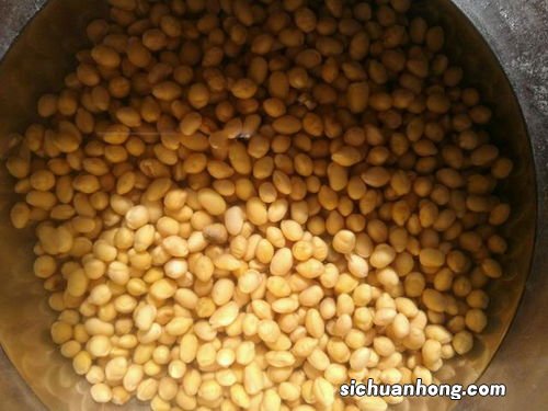 泡豆子泡多久最好