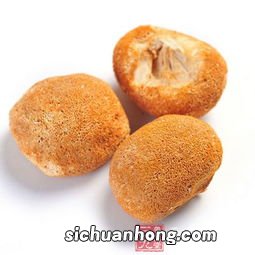 猴头菇怀孕怎么吃法